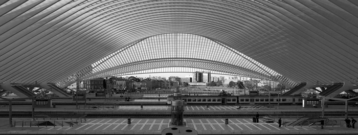 Liège-Guillemins TGV-Bahnhof (Calatrava 2009) Haupthalle von West gesehen